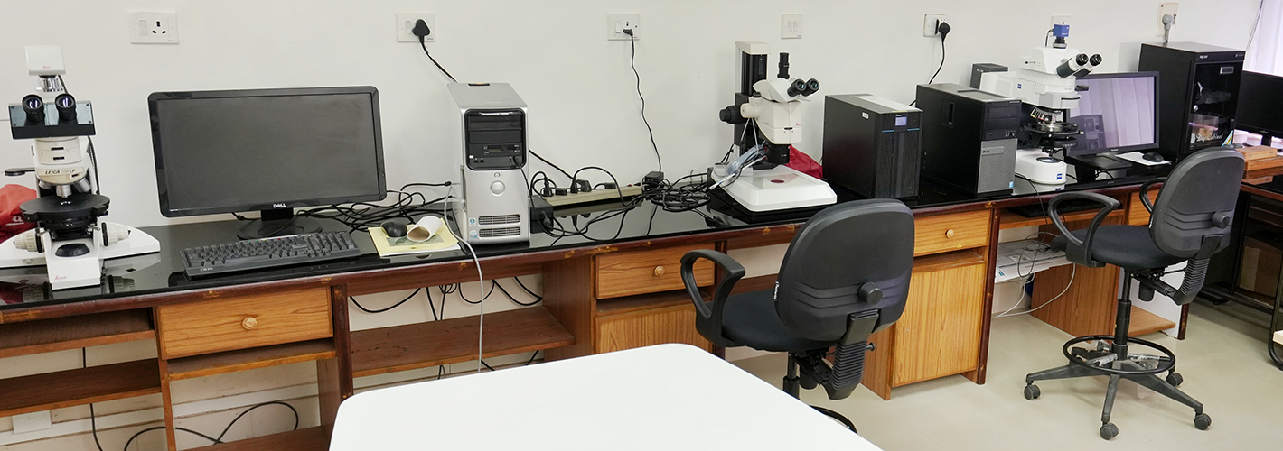 Petrology-Lab1