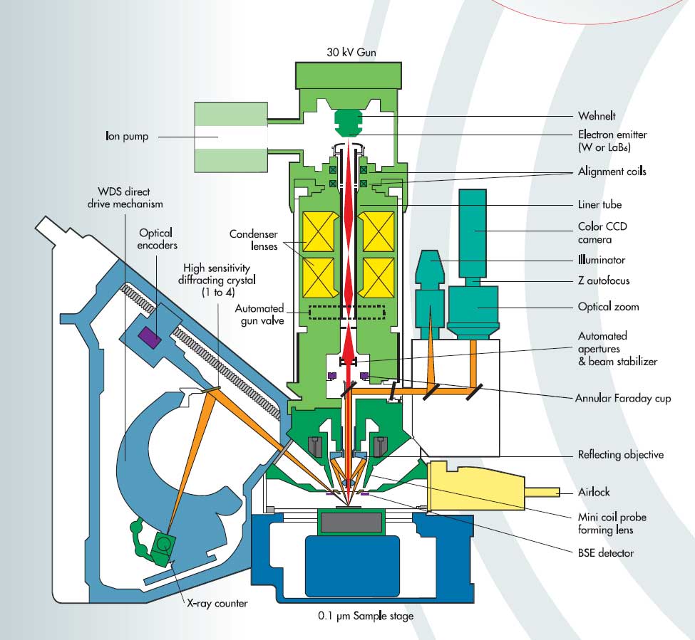 internship dissertation sept 2025