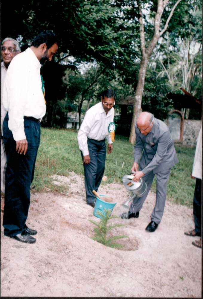 Solid Earth research illustration