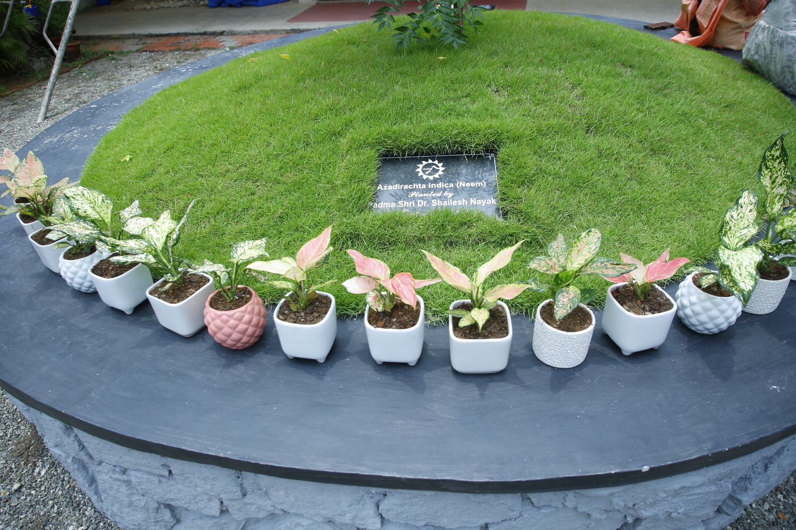 Solid Earth research illustration