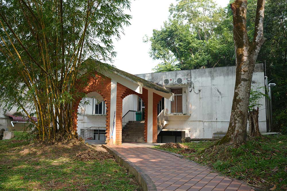 Solid Earth research illustration