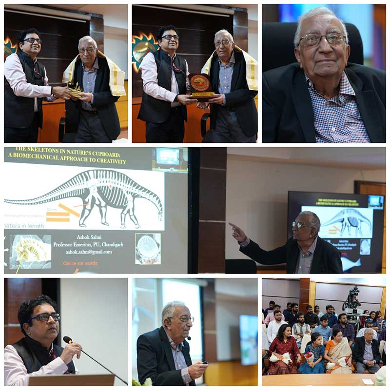 Solid Earth research illustration