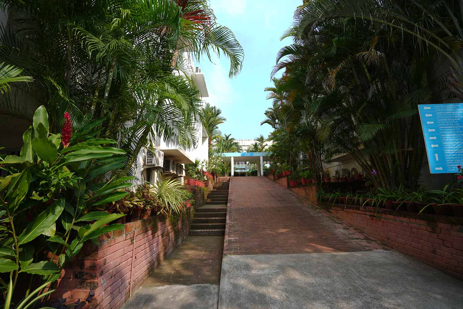 Solid Earth research illustration