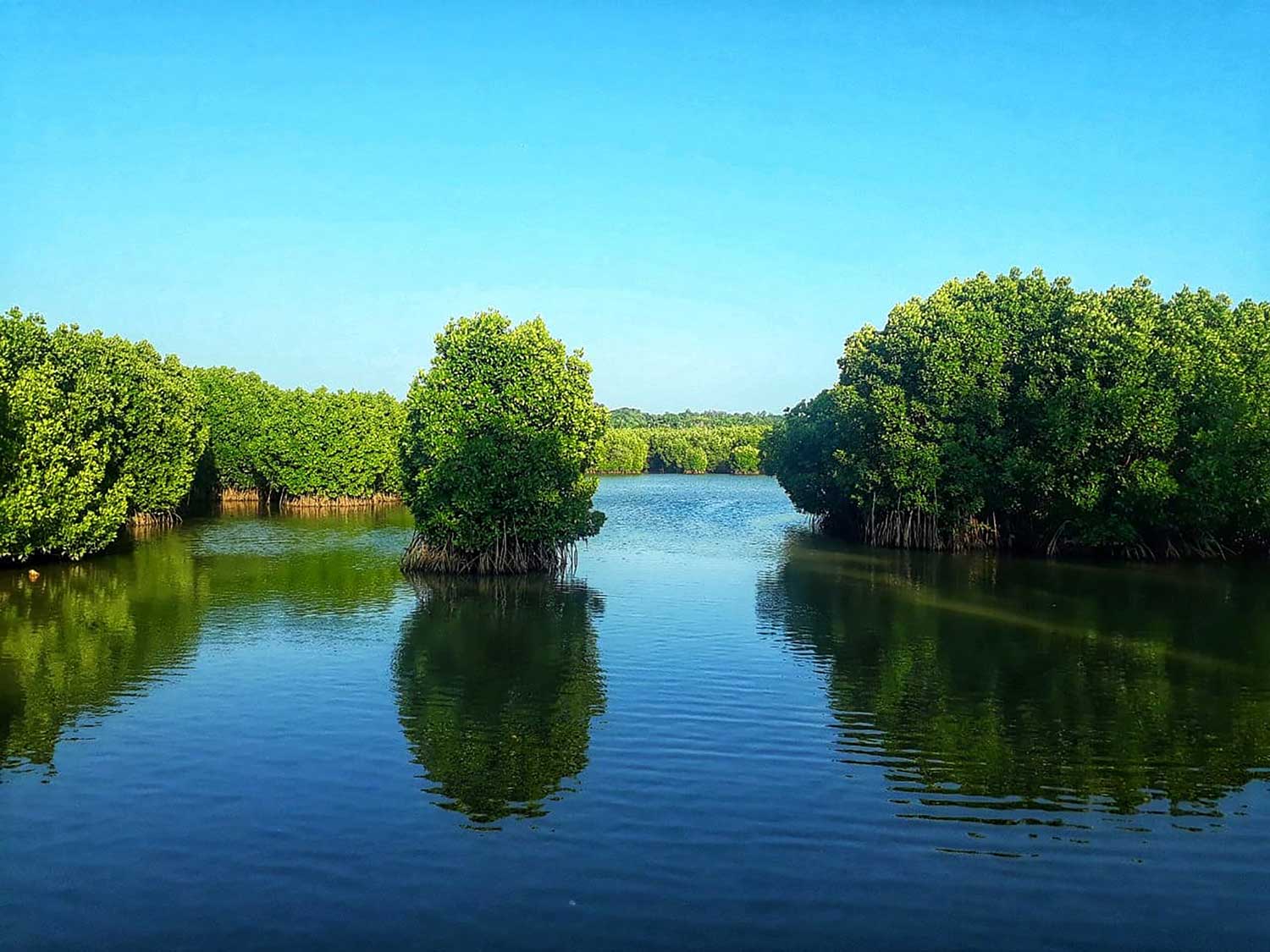 Solid Earth research illustration