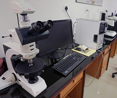 Solid Earth research illustration