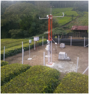 internship dissertation sept 2025