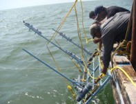 internship dissertation sept 2025