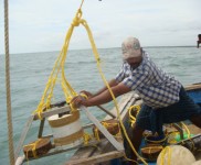 internship dissertation sept 2025